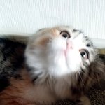 [꽃님풀잎] 놀숲 꽃님이 마실나왔어요