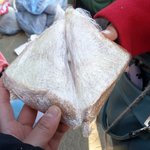 [비상대피소] 후기를가지고왓도다