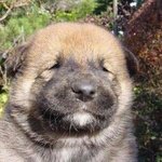 [시우민] 생중계 아저씨한테 영업당함