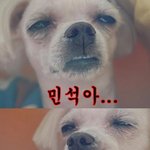 [시우민] 내일은 쉴 수 있겠구나