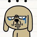 [BAP] 우리 팬들도