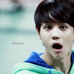 [비스트] 개인적인 욕심으로