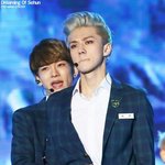 [세훈] 세훈 핱어택