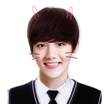 [백현] 큥이 <b>증사</b> 잊는 사람~?