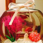 사진有 4 쌔미가 돌아왔어요!!! 4 (나의 볼매 미국인 룸매를...