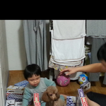 [티제리] 9탄   태준이와 제리, 태준애비는 덤  성장일기