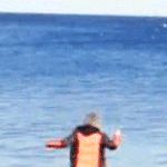 [CHEN] 발<b>동동</b><b>동동</b> 구르는종대ㅋㅋㅋ