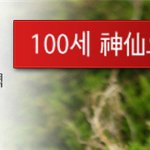 구정선물세트 거래처선물 산양<b>산삼</b> 인기