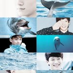 [CHEN] <b>대륙</b>언니들의스케일~