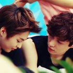 [EXO] 중국개년들 ㅅㅂ