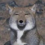 [EXO] 팬과 빠<b>순이</b>의차이