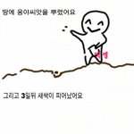 [시우민] 웅녀들 웅야<b>씨앗</b>뿌리면 뭐나오는지 알아?