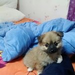 [아딩이네] 처음 만나던날...