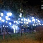 사회복지사1급합격<b>수기</b> 보니까 사회복지사 자격증 인간행동과사회환경이요~...