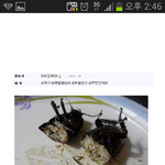 (약혐)정말 너무 궁금합니다.진지해요