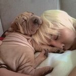 사랑스러운 아이돌 <b>애견</b> 셀카.jpg