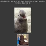 [작두] <b>육상</b> 최강의 맹수