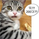 사과드립니다~~