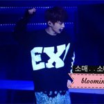 [시우민] 미니 <b>소매</b> 끙끙