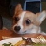 [BAP] <b>외부</b>작곡가 우리도 좀 쓰면 안되나