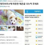 양주보호소 겨울나기에 서명 부탁드립니다