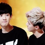 [<b>xoxo</b>] 고화질