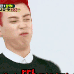 [블락비] 안자는<b>벌</b>들은응답해제발