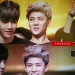 [<b>xoxo</b>] 세후니 머리에