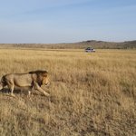 [해외여행] [프롤로그] 9개월간의 아프리카 방랑기