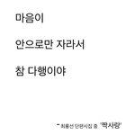 최룡선 <b>단편</b>시 - 짝사랑