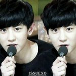 [백현] 최애보느라 열이를 자세히 못본거 <b>사죄</b>드립니다