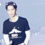 [카이] 이런 고양이 어디없나요???