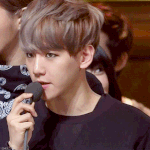 [백현] 같은 빠수니지만 이해안가는 <b>분류</b>