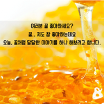 아프리카 양봉사업을 좀 도와주세요!!