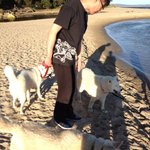 호주에서 온 허스키 스노위