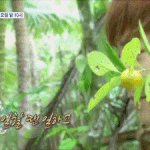 [<b>xoxo</b>] 찬열이이제갔다 ㅠㅠㅠㅠㅠ