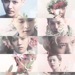 [EXO] 엑소원탑총정리다꼭봐라 ㅋㅋㅋㅋㅋ