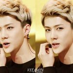 [세훈] 출구<b>봉쇄</b>전문오세훈씨모셔봤습니다