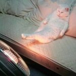 [인피니트] 오예 <b>삼백</b>!!!!!!!!!!!!!!!!!!!!!!!...