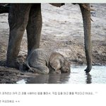 [인피니트] 규규요미 저분 <b>조증</b>폭팔하셨답니다 글 내려주시뗴