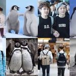 [EXO] 루민 꺼지고 <b>면도</b>가 흥해야 함