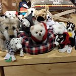 [단지<b>요지</b>네]  7탄. 다들 속고있어요~~~