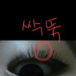 [살려줘요] 혼자 앞머리 자르기 대참사 사진유