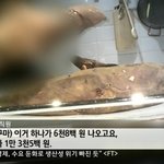 [유머] 흔한 군고구마 <b>가격</b>.jpg