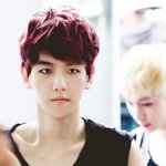 [EXO] 변백현 <b>쇄골</b>