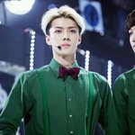 [<b>버들</b>] ((일기장톡))