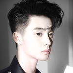 [<b>버들</b>] 겨우 2년 활동했는데 팬들은 뭐이리 바라는게많냐