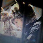 [<b>버들</b>] 잘생겼네