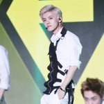 [<b>버들</b>] 향기없는 꽃이라니