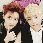 [<b>버들</b>] 온종일 정신없이 바쁠때에도